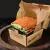 Комплект шкарпеток (2 пари) "Lufer Hot Burger"